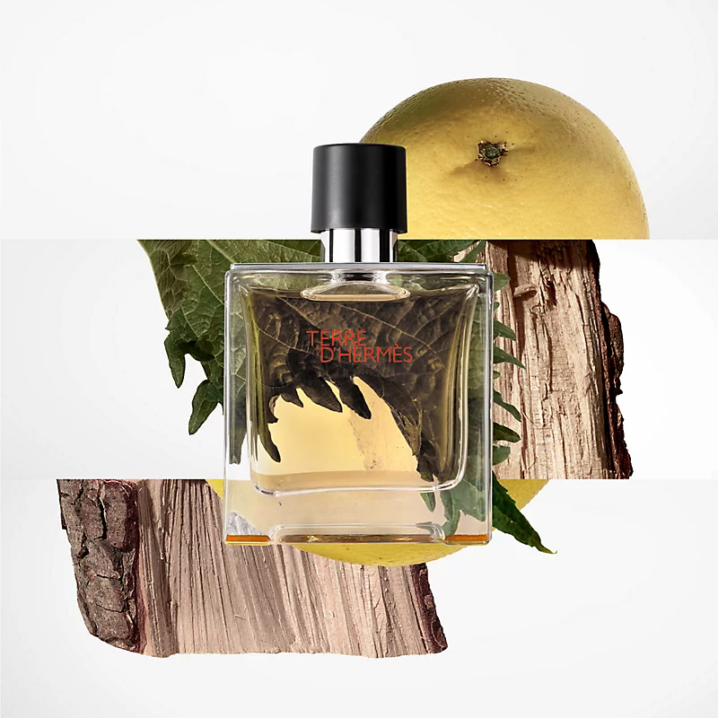 003 Terre dHermes - Parfum - Image 2